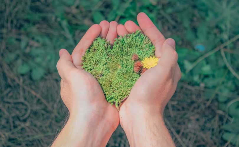 découvrez tout ce qu'il faut savoir sur la durabilité : solutions, enjeux et conseils pratiques pour adopter un mode de vie plus respectueux de l'environnement et agir de façon responsable au quotidien.